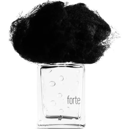 دکانت عطر فیلیپو سورچینلی پیوگیا فورته | Filippo Sorcinelli Pioggia Forte