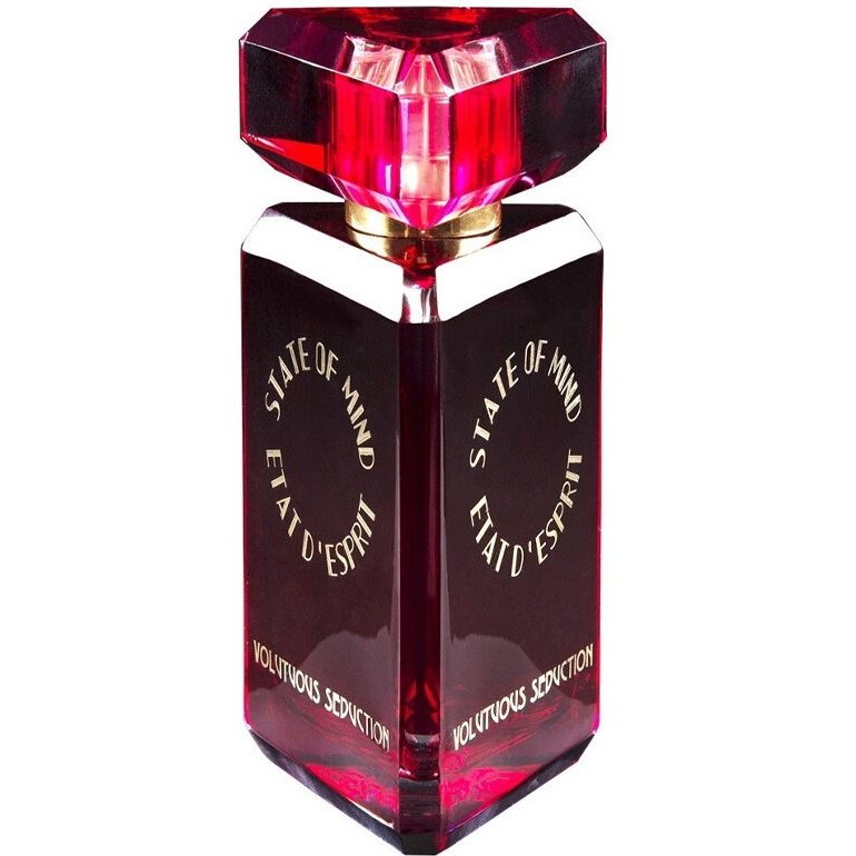 ۱۷۵۸۹_f دکانت عطر استیت اف مایند فرنچ گالانتری | State of Mind French Gallantry - تصویر 1