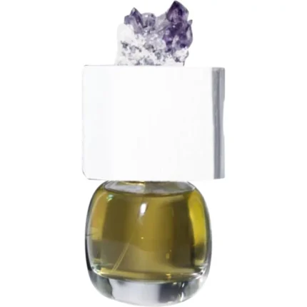 دکانت عطر فیلیپو سورچینلی لوکس ویزیوناریا | Filippo Sorcinelli Lux Visionaria