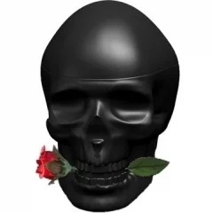 ۱۷۸۵۰_c5tkxp7dtf_240 دکانت عطر کریستین اودیگیر اد هاردی اسکولز اند رز مردانه | CHRISTIAN AUDIGIER Ed Hardy Skulls & Roses - تصویر 1