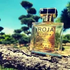 دکانت عطر روژا داو رکلس پور هوم | Roja Dove Reckless Pour Homme - تصویر 4