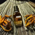 دکانت عطر اورتو پاریسی برگاماسک | Orto Parisi Bergamask - تصویر 3