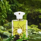 دکانت عطر آمواج سان شاین مردانه | AMOUAGE Sunshine Men - تصویر 3