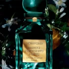 دکانت عطر تام فورد نرولی پورتوفینو فورته | TOM FORD Neroli Portofino Forte - تصویر 2