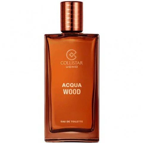 ۶۴۵۲۹_dvp4fx_acqua_wood_480 دکانت عطر کولیستار آکوا وود | Collistar Acqua Wood - تصویر 1