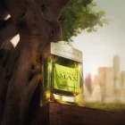 عطر ادکلن بولگاری من وود نرولی | Bvlgari Man Wood Neroli - تصویر 3