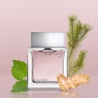 عطر ادکلن کالوین کلین ایفوریا مردانه | Calvin Klein Euphoria Men - تصویر 2