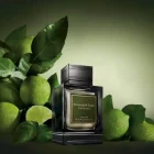 دکانت عطر ارمنگیلدو زگنا ایتالین برگاموت | Ermenegildo Zegna Italian Bergamot - تصویر 2