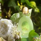 دکانت عطر لوئوه ایره اوشن | LOEWE Aire Evasion - تصویر 2