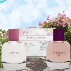 پک دو عددی عطر زارا گاردنیا ارکید | ZARA Gardenia Orchid - تصویر 2