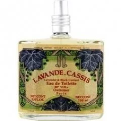 33909_xf8603n2tz_240 دکانت عطر اوتریمیر لوند کاسیس | Outremer Lavande-Cassis - تصویر 1
