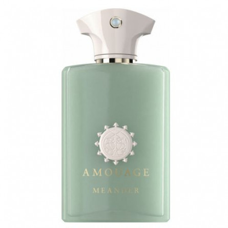 ۸f5ad05d-9330-4ee5-b1df-f84635edafd0 عطر ادکلن آمواج میندر | AMOUAGE Meander - تصویر 1