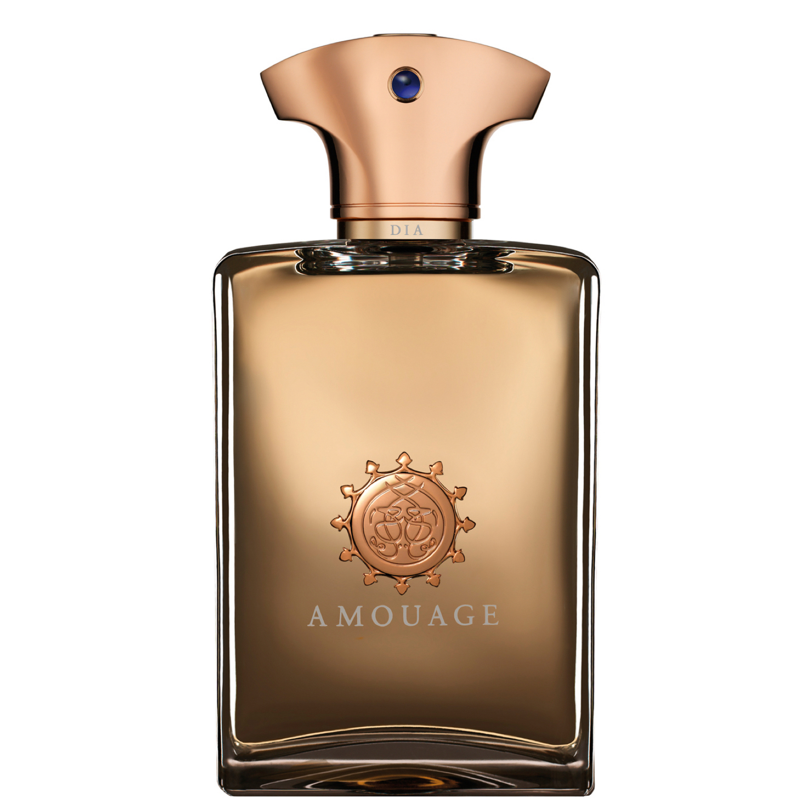 amouage-dia-for-men-eau-de-parfum-spray-100ml-2 عطر ادکلن آمواج دیا مردانه | Amouage Dia - تصویر 1