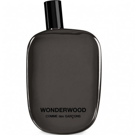 ce21749f-4660-4032-929b-169767f617b2 دکانت عطر کام دی کارگونس واندر وود | COMME des GARCONS Wonderwood - تصویر 1