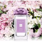 تستر عطر جو مالون مدل Plum Blossom Cologne - تصویر 2
